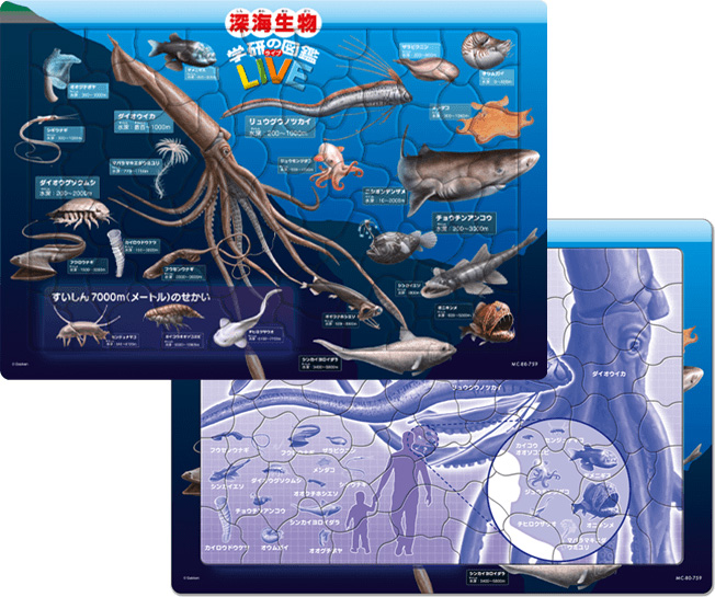深海生物図鑑（学研の図鑑ＬＩＶＥ）